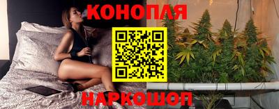 гашик Бузулук