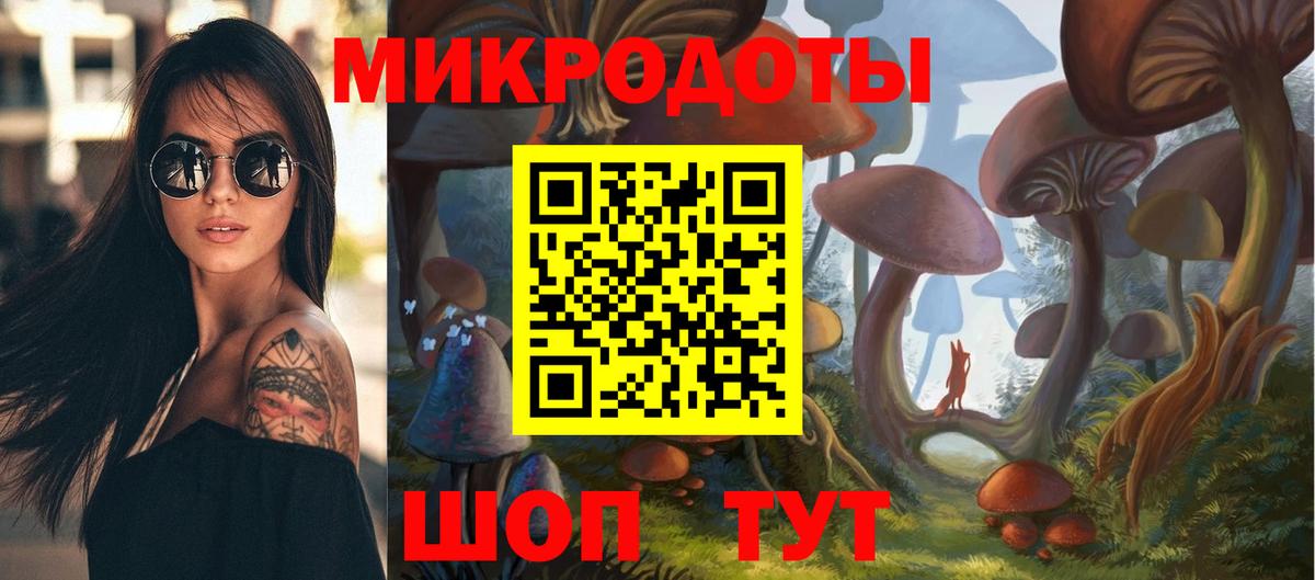Будённовск  Псилоцибиновые грибы MAGIC MUSHROOMS  Вход с VPN 