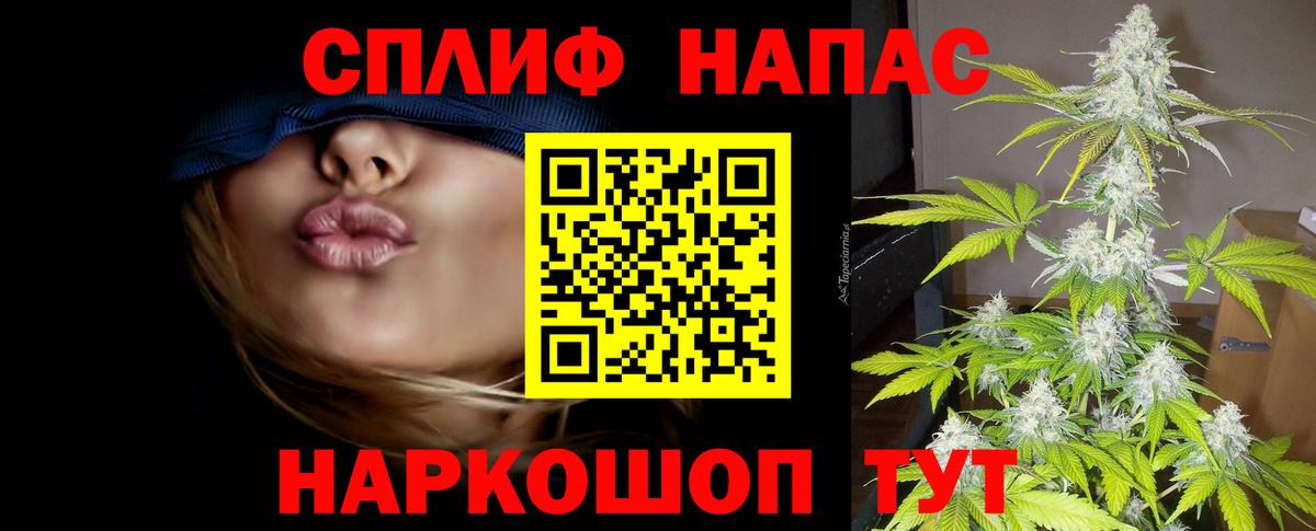 Бошки Шишки SATIVA & INDICA  Бошки Шишки планчик  Вход с VPN  Будённовск  Бошки Шишки гибрид 
